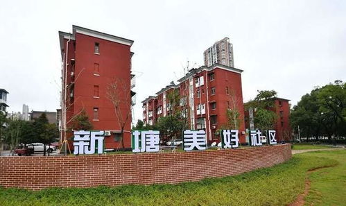 喜訊 湘潭市住建局榮獲 全國(guó)住房和城鄉(xiāng)建設(shè)系統(tǒng)先進(jìn)集體 稱號(hào)