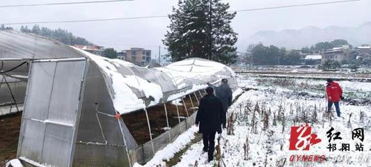 祁陽(yáng):20個(gè)農(nóng)業(yè)生產(chǎn)工作組迅速開展災(zāi)情核查和指導(dǎo)抗災(zāi)救災(zāi)