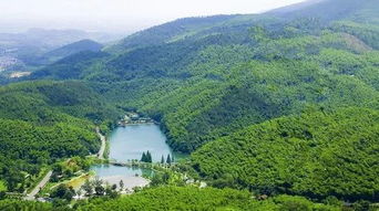 6月7 9日端午假期南京國(guó)立美術(shù)館舊址 總統(tǒng)府 梅園新村 莫干山徒步 宜興竹海 大縱湖3日游招募