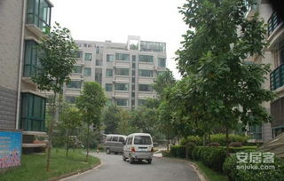 南京銀礦新村 實(shí)景圖 2 南京安居客