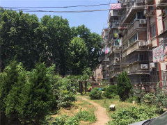 化纖新村圖片相冊,南京化纖新村實(shí)景圖 室外圖 小區(qū)配套圖