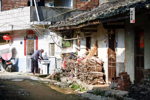 落葉歸根,才是深秋最美的童話