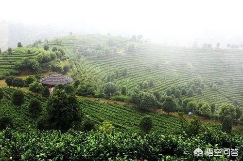 到桂林旅游,你最想去哪個(gè)景區(qū)玩