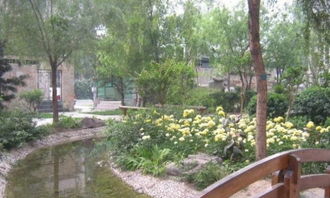 圖 牡丹園知春路新出大量房源 主臥 次臥獨(dú)衛(wèi) 溫馨舒適 干凈整潔 北京租房