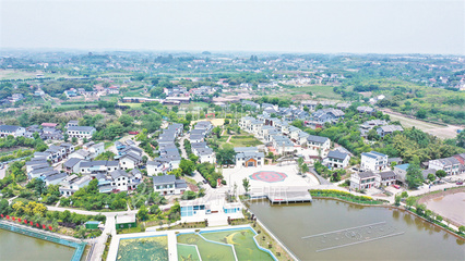 行走鄉(xiāng)村看內(nèi)江|從名不見經(jīng)傳到家喻戶曉!尚騰新村是這樣煉成“明星”的