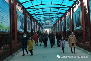 三八婦女節(jié) 佳麗10元暢游山西振興新村五大景點(diǎn)