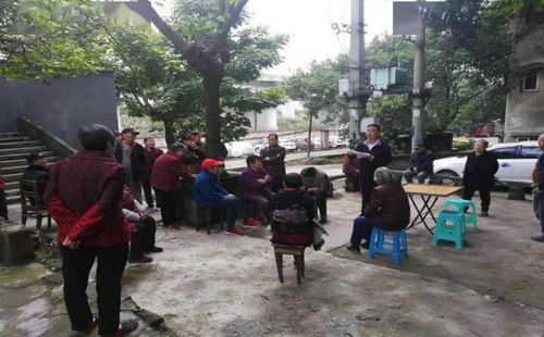 把實(shí)事辦到群眾心坎里 九龍坡區(qū)中梁山街道華巖新村社區(qū)深入推進(jìn) 我為群眾辦實(shí)事 實(shí)踐活動