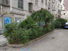 開發(fā)新村圖片相冊,上海開發(fā)新村實(shí)景圖 室外圖 小區(qū)配套圖