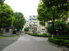 上海高南新村及七里新村實景圖集 室外環境與小區配套一覽